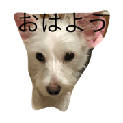 wankoaisatu