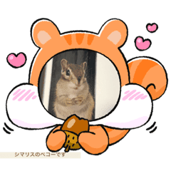 リス Lineクリエイターズスタンプまとめ Stamplist リス Lineクリエイターズスタンプまとめ Stamplist