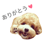 chataro~