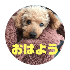 yuka_20210926