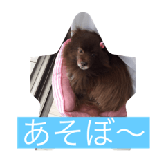 KAITO_20210926180041