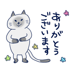 Cute cat Sticker !2