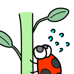 cuty insect animation Sticker