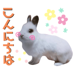 maco_20210929185059 – LINE stickers | LINE STORE