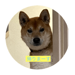 Rei_20212588
