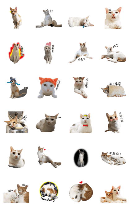 twocats.
