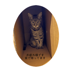 NANAMI_20210929222736