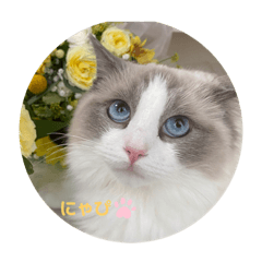 Naho_20210929223440