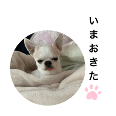 nanami_20210929234403