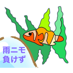 Nobo_20210930005339