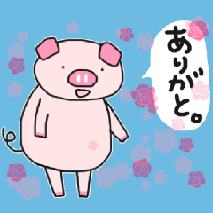 Rose pig