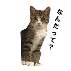 YUKARI_20210926224717