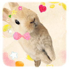 Fairy Rabbit Lumo