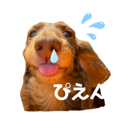 ask_20210927123334