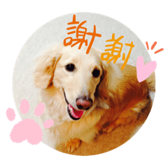 risa_20210930112514