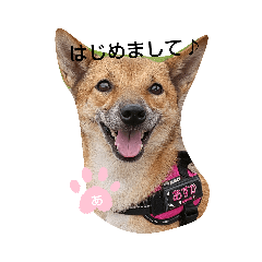 tomomi_20210930131948