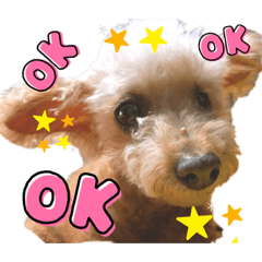 mizuki_20210927194027