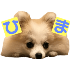saya_20210927211227