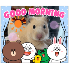 melon_20210927212708