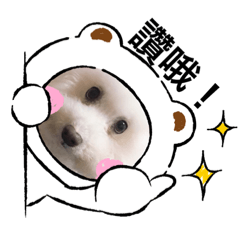 There are three lovely treasures at home