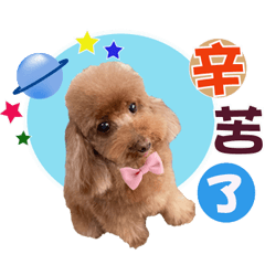 紅貴賓生活日記