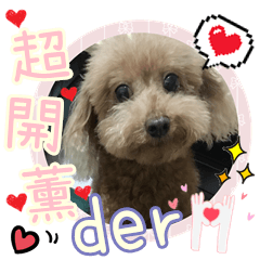 古錐ㄟ貴賓妹妹