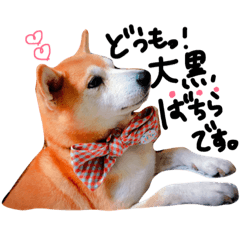 APOROdesu.