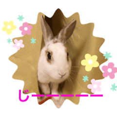 hana_20210928133735