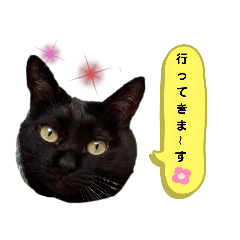 kurosuke_20210930180009