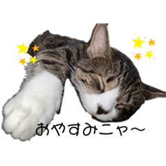 yamada_20210928192750