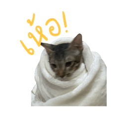 nongmawhere