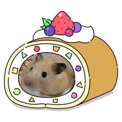 melon_20210928132732