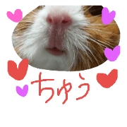 sumomoru picture