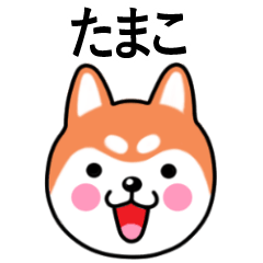 Tamako name sticker(Shiba Inu)