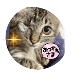 orange_20210929190801