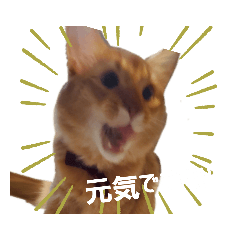 ponzu_20210930145455