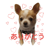 Happykun...