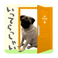 pug jiro_20210928142541