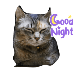 AKIKO_20210928001842