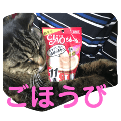 AKIRA_20210930223039