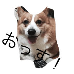 Rikutoyukainanakama