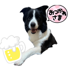 masakichi_20210928222858
