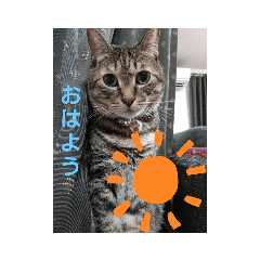 june_20210928233855
