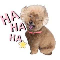 朵拉拉的生活日記