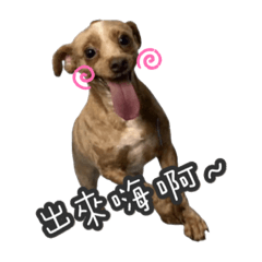 播尺狗