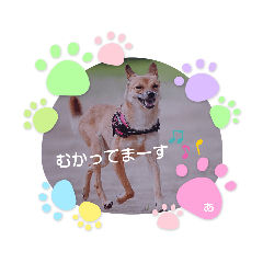 tomomi_20211001121326