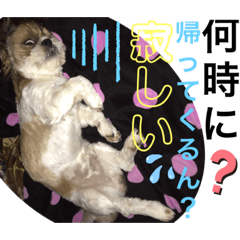 seira_20210929090112