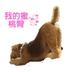 嚕嚕咪日常生活