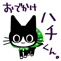 Cat's Hachi
