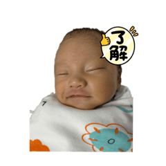 三寶（學承哲）